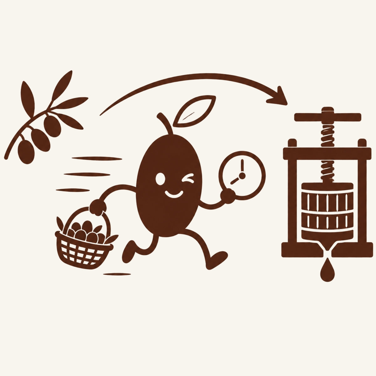 olive qui illustre que les olives cueillies sont tout de suite amenée au pressoir